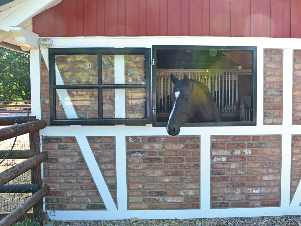 horse pferdesportsysteme fenster 009 pferdebox sprossenfenster mit sicherheitsglas