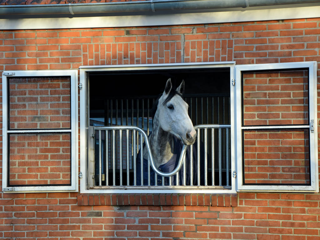 horse pferdesportsysteme fenster 010 zweifluegeliges drehfenster mit webrahmen