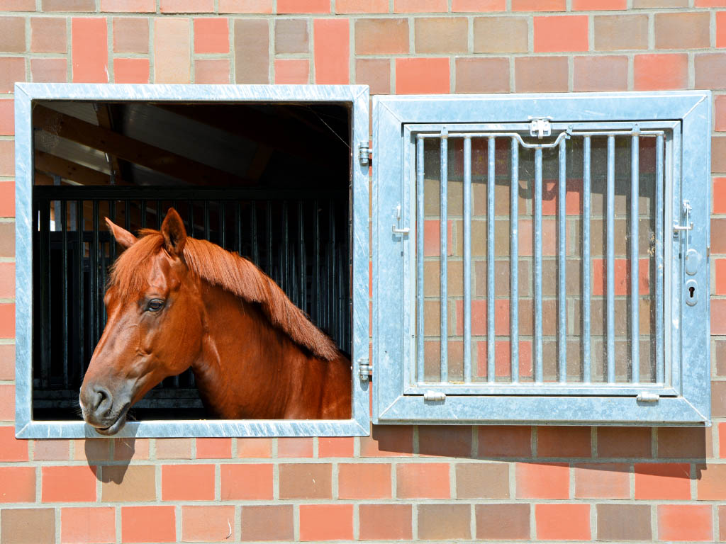 horse pferdesportsysteme fenster 012 einfluegeliges drehfenster mit schutzgitter