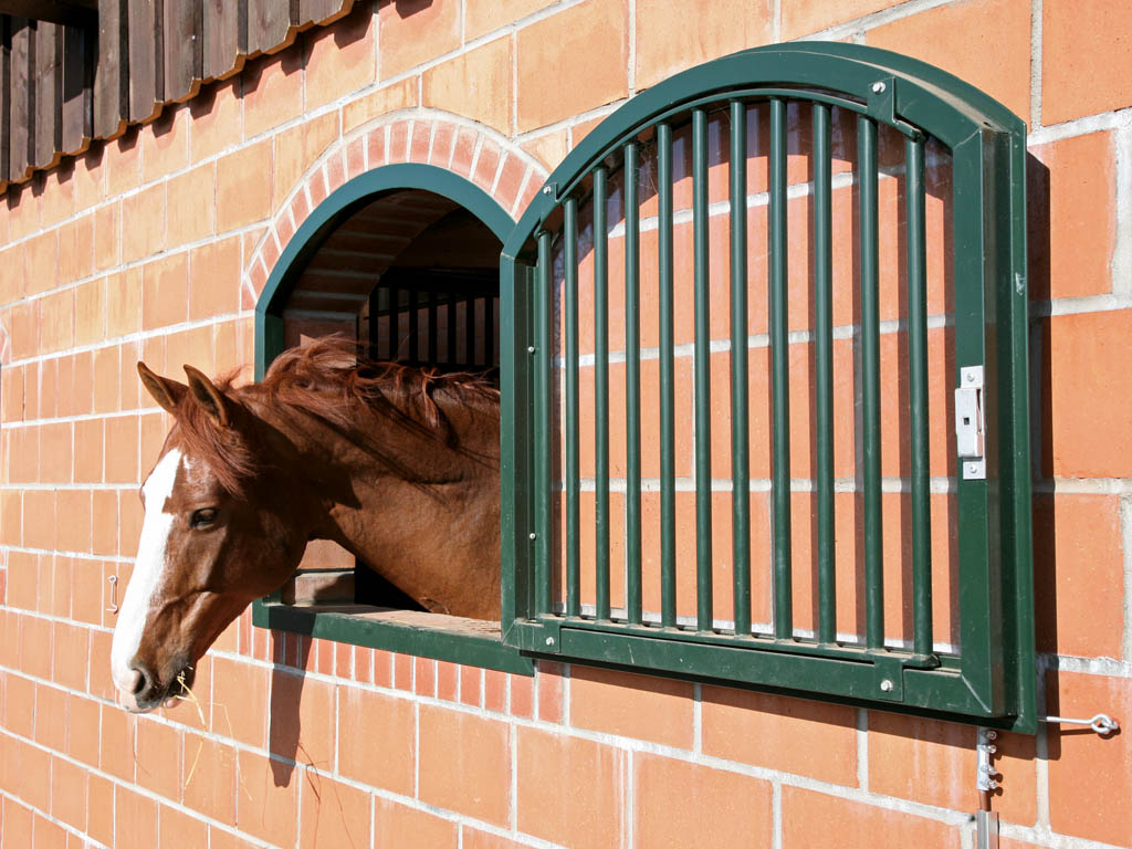 horse pferdesportsysteme fenster 017 rundbogenfenster mit schutzgitter