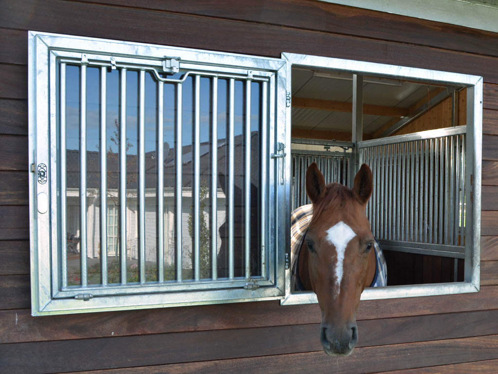 horse pferdesportsysteme fenster 020 pferdeboxfenster mit dreh kippfunktion verzinkt