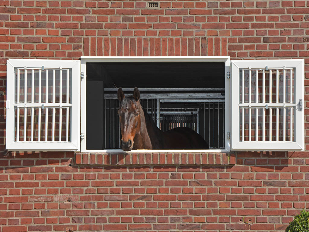 horse pferdesportsysteme fenster 028 schutzgitterfenster zweifluegelig weiss pulverbeschichtet