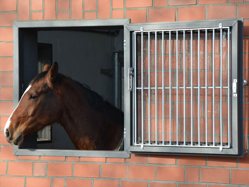 horse pferdesportsysteme fenster 030 pferdestallfenster mit schutzgitter auf der innenseite