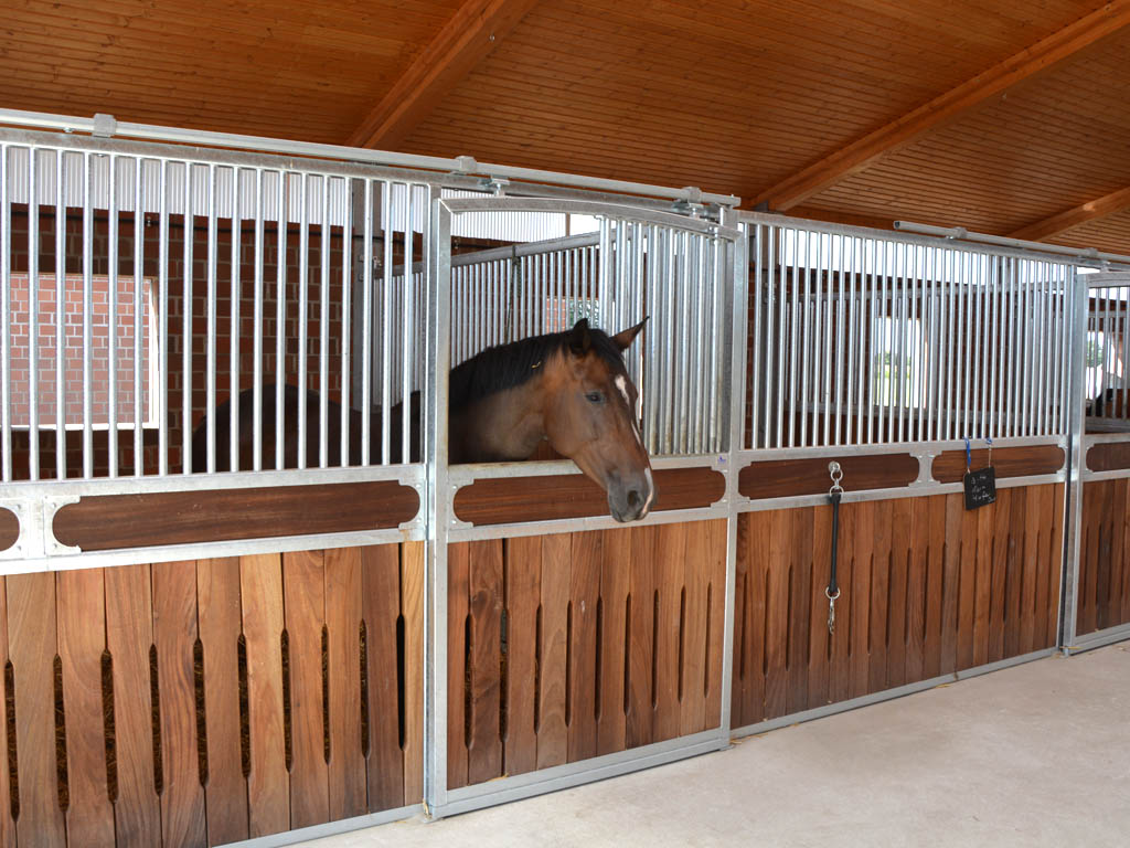horse pferdesportsysteme innenboxen 012 frontwand mit rundbogen und klappe im gitterteil