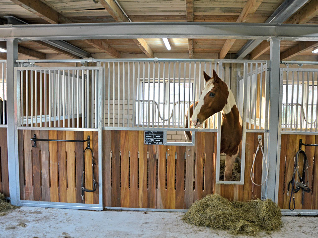 horse pferdesportsysteme innenboxen 041 pferdebox mit sicherheitsfressgitter
