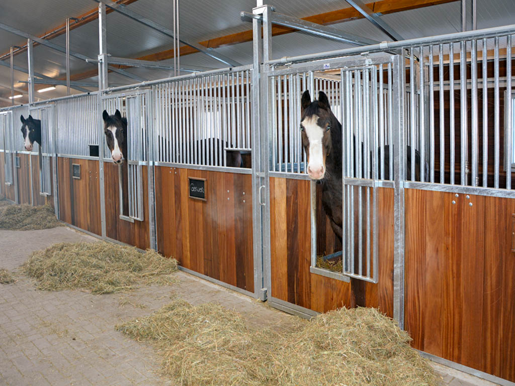 horse pferdesportsysteme innenboxen 043 schliessbares fressgitter in pferdebox