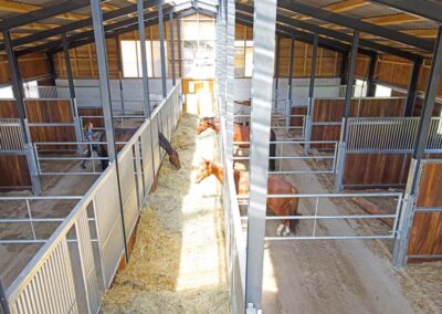 horse pferdesportsysteme pferdebetrieb bruening in winkelstett fressfronten 002