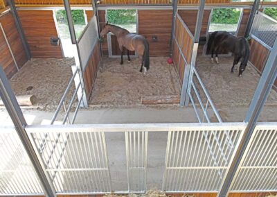 horse pferdesportsysteme pferdebetrieb bruening in winkelstett grosse pferdebox 003