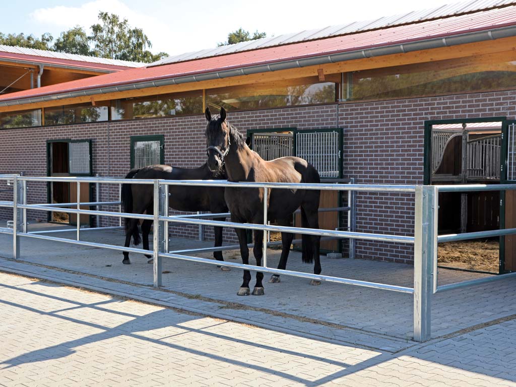 horse pferdesportsysteme zubehoer 001 paddock rundrohr verzinkt