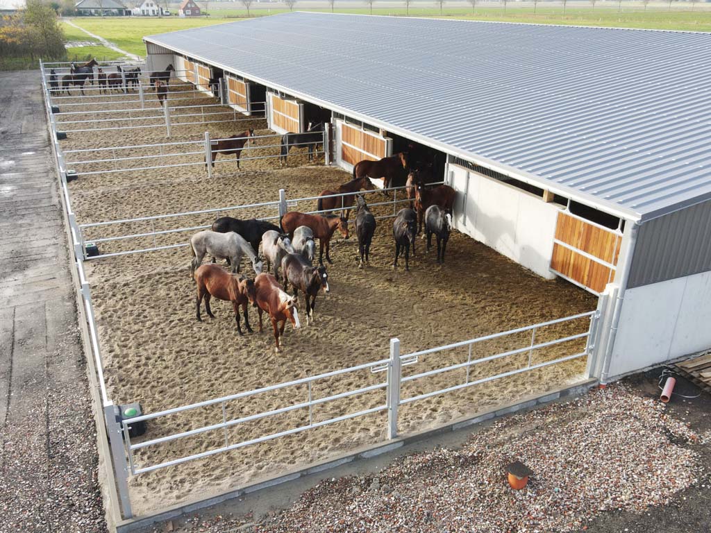 horse-pferdesportsysteme-paddocks-divers horse pferdesportsysteme Paddocks diverse